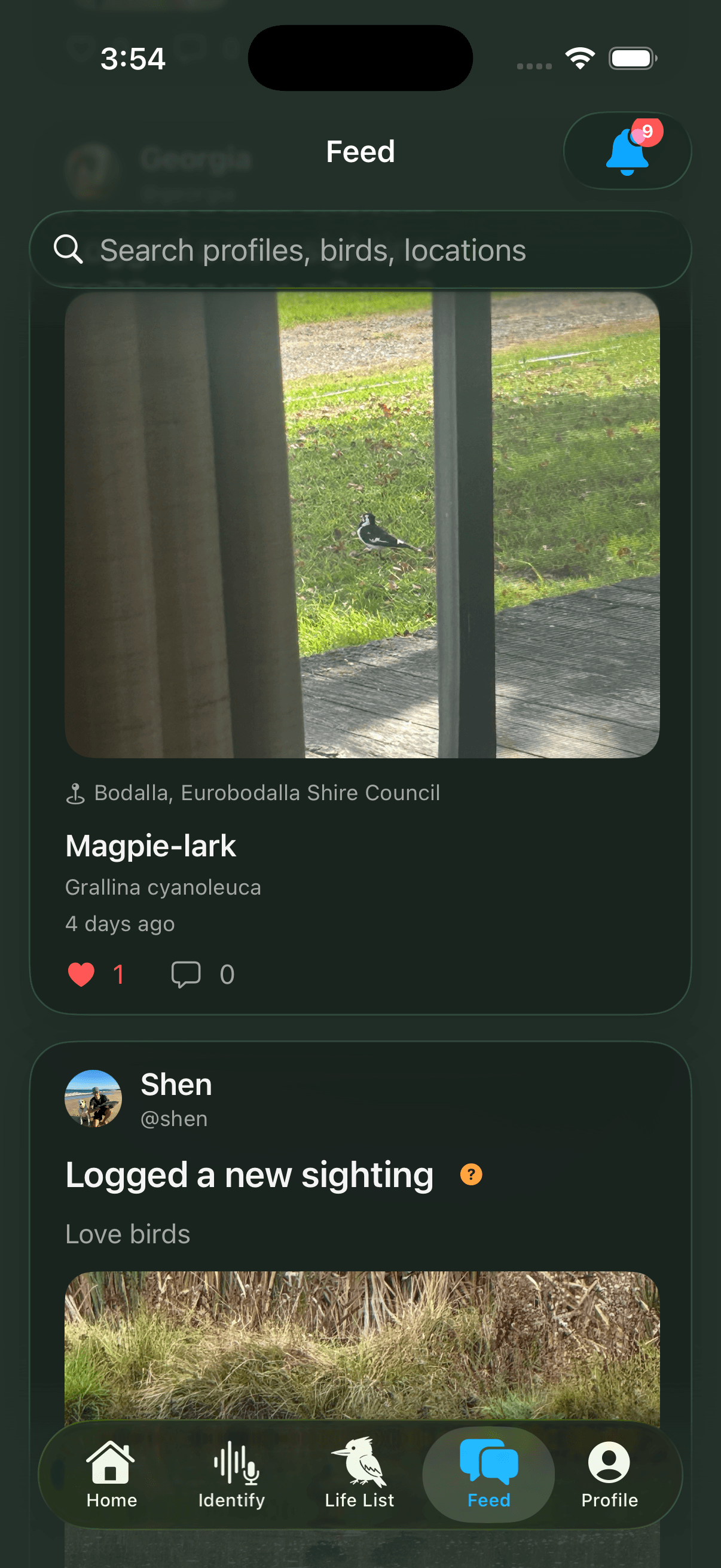 BetterBirding Feed