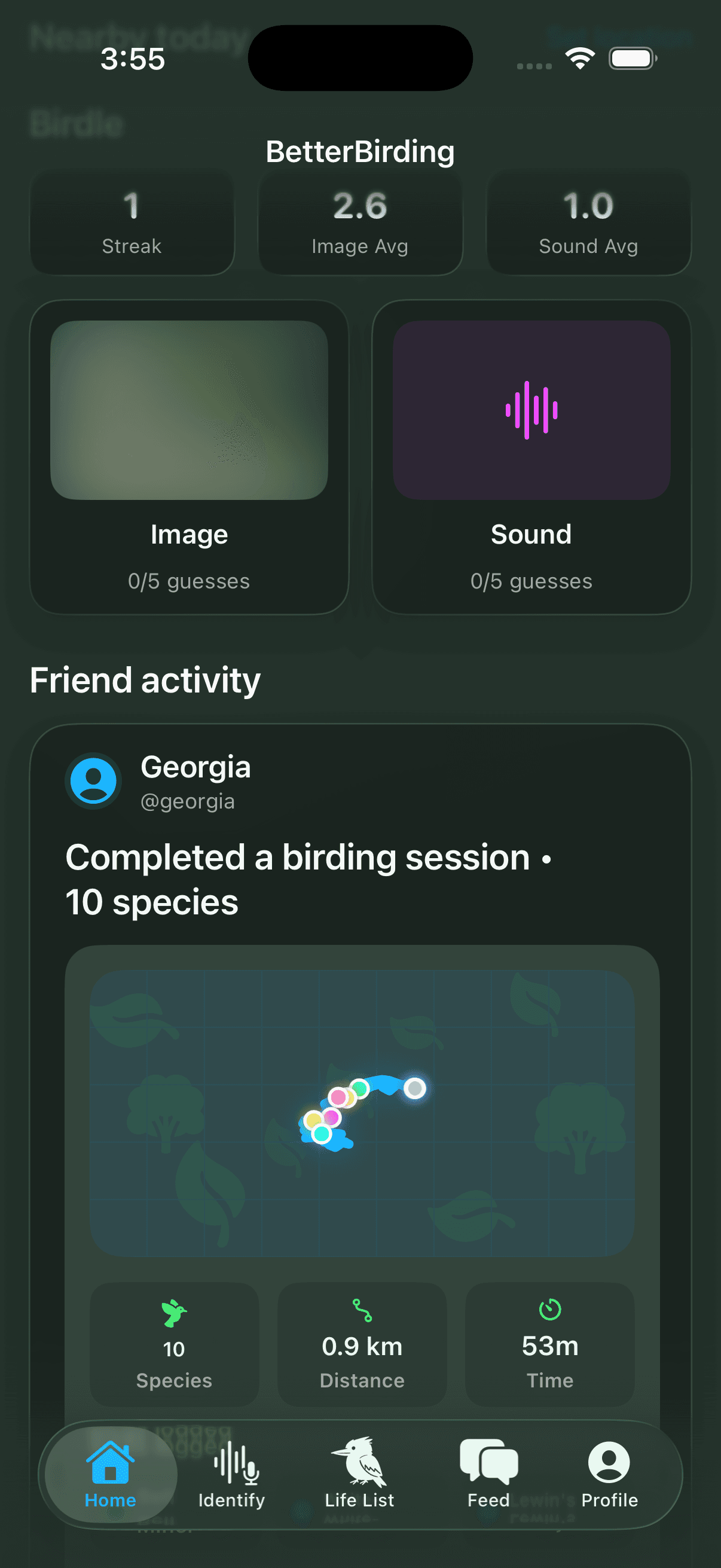 BetterBirding home with Birdle and friend activity