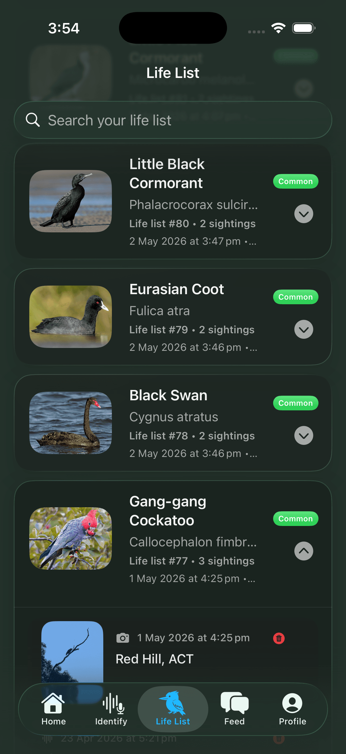 BetterBirding Life List
