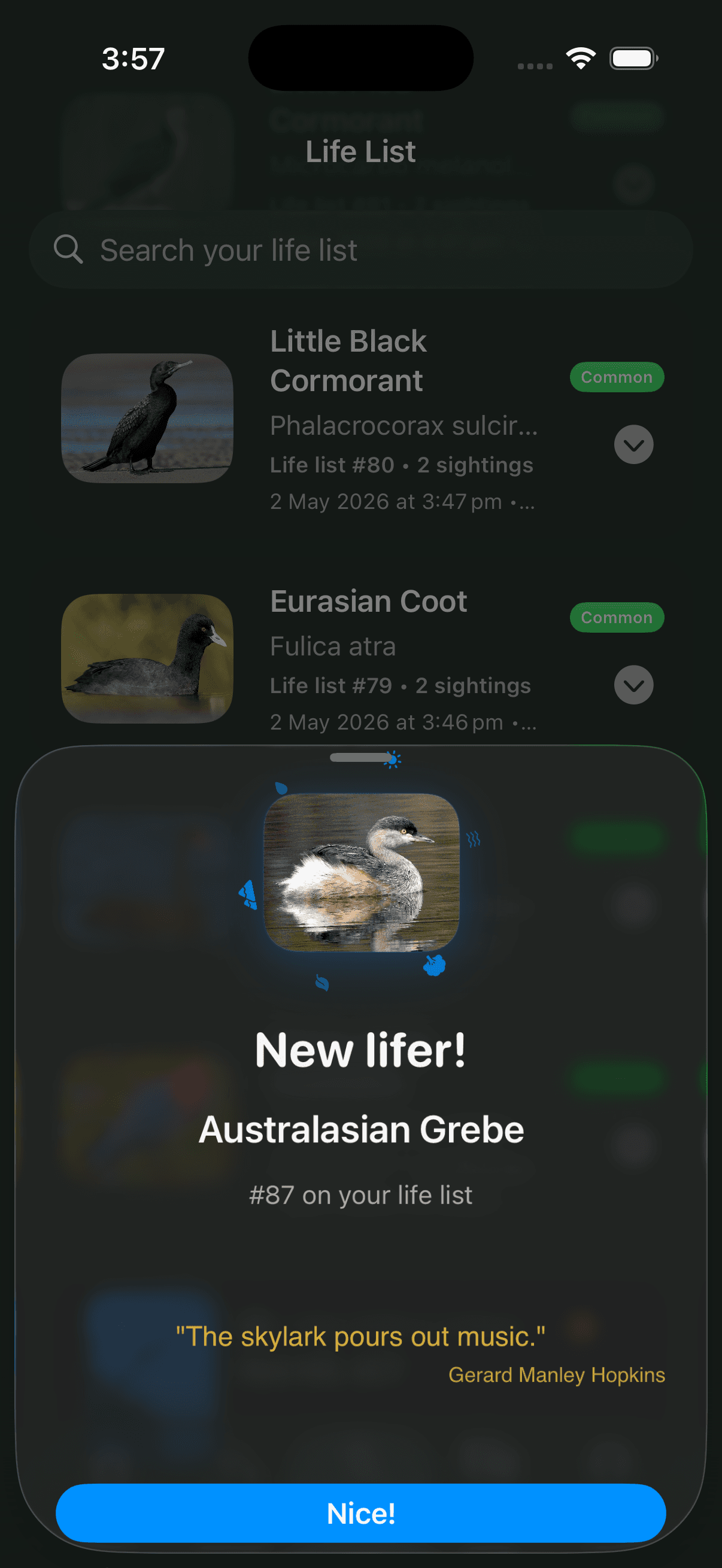 New lifer celebration sheet
