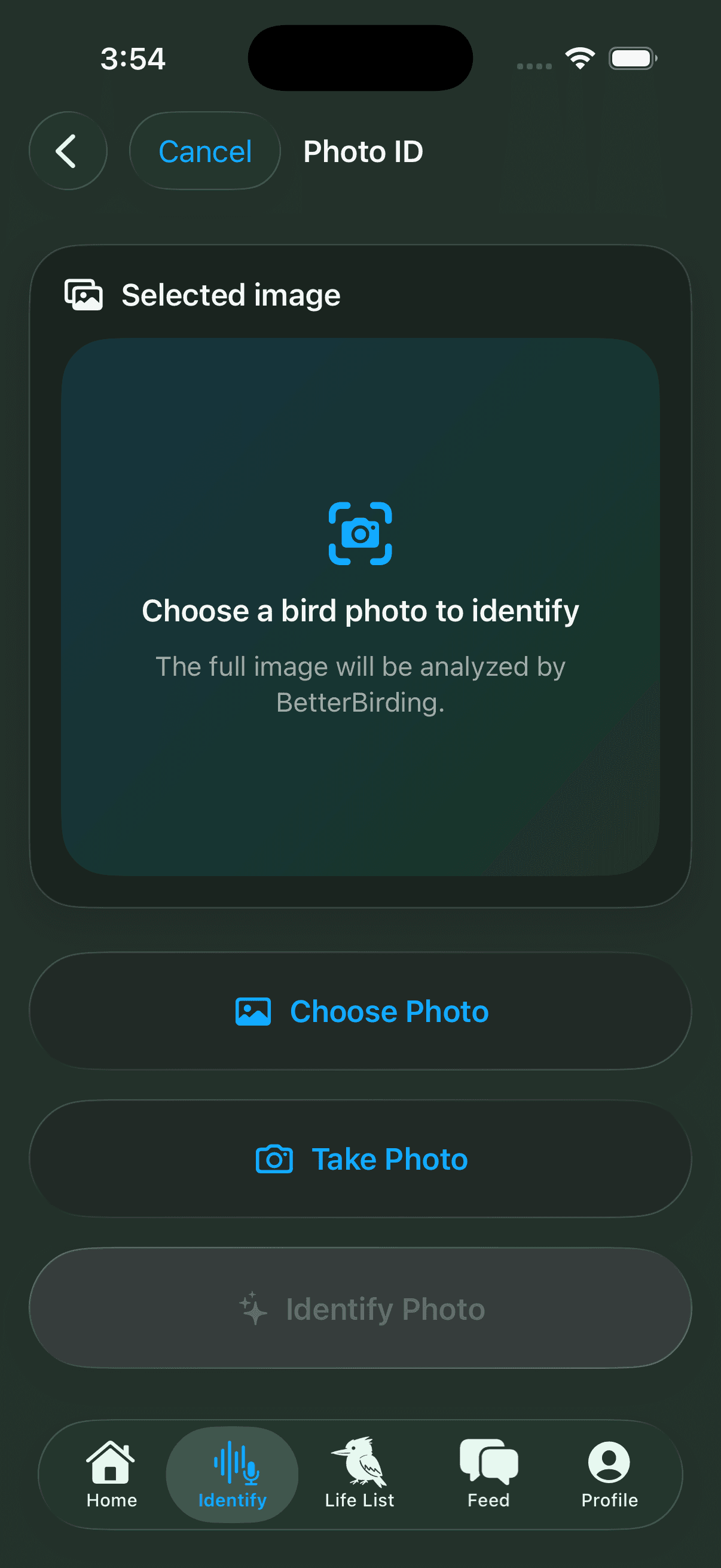 BetterBirding Photo ID screen