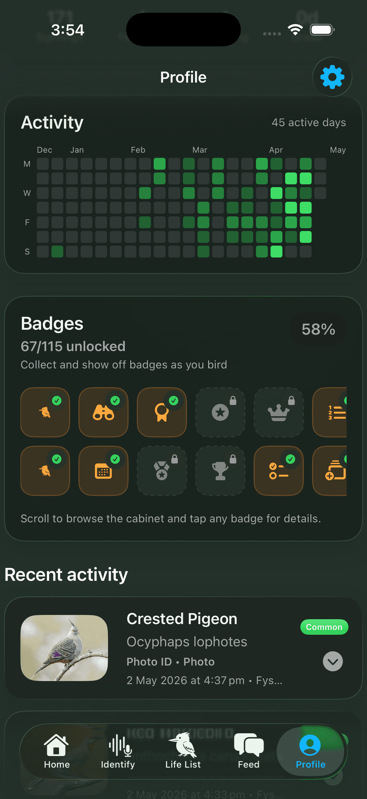BetterBirding profile
